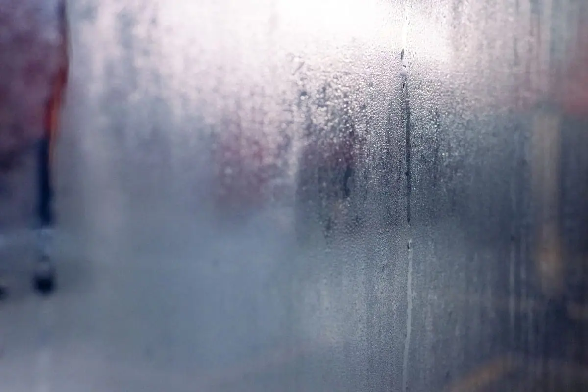 Window Condensation: Causes and Solutions